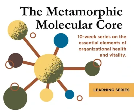 Metamorphic Molecular Core Email Series